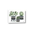 Picture of Plants in Grey vases _GroupedProduct_Rectangle_Landscape_Canvas_