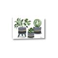 Picture of Plants in Grey vases _GroupedProduct_Rectangle_Landscape_Canvas_