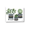 Picture of Plants in Grey vases _GroupedProduct_Rectangle_Landscape_Canvas_