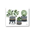 Picture of Plants in Grey vases _GroupedProduct_Rectangle_Landscape_Canvas_