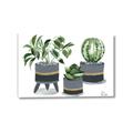 Picture of Plants in Grey vases _GroupedProduct_Rectangle_Landscape_Canvas_