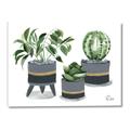Picture of Plants in Grey vases _GroupedProduct_Rectangle_Landscape_Canvas_
