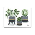 Picture of Plants in Grey vases _GroupedProduct_Rectangle_Landscape_Canvas_
