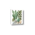 Picture of Plant Party II  _GroupedProduct_Rectangle_Portrait_Canvas_