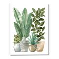 Picture of Plant Party II  _GroupedProduct_Rectangle_Portrait_Canvas_