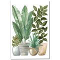 Picture of Plant Party II  _GroupedProduct_Rectangle_Portrait_Canvas_