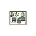 Picture of Plants in Grey vases _GroupedProduct_Rectangle_Landscape_Canvas_Framed_
