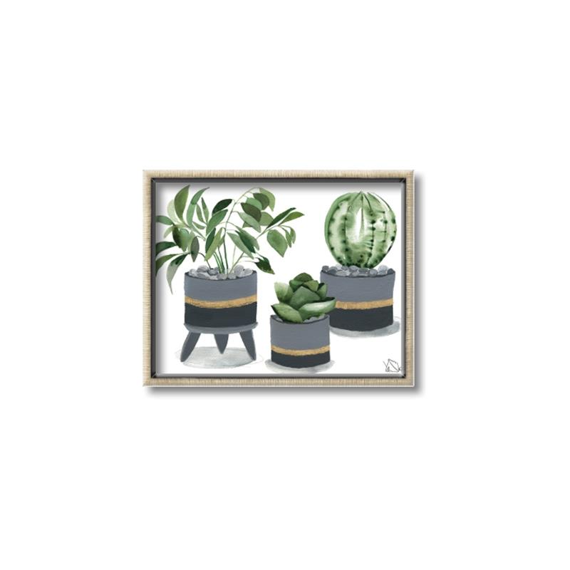 Picture of Plants in Grey vases _GroupedProduct_Rectangle_Landscape_Canvas_Framed_