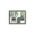 Picture of Plants in Grey vases _GroupedProduct_Rectangle_Landscape_Canvas_Framed_