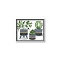 Picture of Plants in Grey vases _GroupedProduct_Rectangle_Landscape_Canvas_Framed_