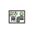 Picture of Plants in Grey vases _GroupedProduct_Rectangle_Landscape_Canvas_Framed_
