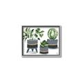 Picture of Plants in Grey vases _GroupedProduct_Rectangle_Landscape_Canvas_Framed_