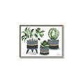 Picture of Plants in Grey vases _GroupedProduct_Rectangle_Landscape_Canvas_Framed_