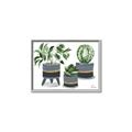 Picture of Plants in Grey vases _GroupedProduct_Rectangle_Landscape_Canvas_Framed_