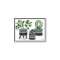 Picture of Plants in Grey vases _GroupedProduct_Rectangle_Landscape_Canvas_Framed_