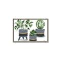 Picture of Plants in Grey vases _GroupedProduct_Rectangle_Landscape_Canvas_Framed_