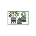 Picture of Plants in Grey vases _GroupedProduct_Rectangle_Landscape_Canvas_Framed_