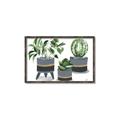 Picture of Plants in Grey vases _GroupedProduct_Rectangle_Landscape_Canvas_Framed_