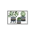 Picture of Plants in Grey vases _GroupedProduct_Rectangle_Landscape_Canvas_Framed_