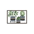 Picture of Plants in Grey vases _GroupedProduct_Rectangle_Landscape_Canvas_Framed_