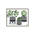 Picture of Plants in Grey vases _GroupedProduct_Rectangle_Landscape_Canvas_Framed_