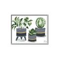 Picture of Plants in Grey vases _GroupedProduct_Rectangle_Landscape_Canvas_Framed_