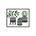 Picture of Plants in Grey vases _GroupedProduct_Rectangle_Landscape_Canvas_Framed_