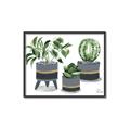 Picture of Plants in Grey vases _GroupedProduct_Rectangle_Landscape_Canvas_Framed_