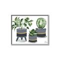 Picture of Plants in Grey vases _GroupedProduct_Rectangle_Landscape_Canvas_Framed_