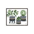 Picture of Plants in Grey vases _GroupedProduct_Rectangle_Landscape_Canvas_Framed_