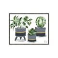Picture of Plants in Grey vases _GroupedProduct_Rectangle_Landscape_Canvas_Framed_