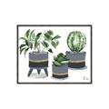 Picture of Plants in Grey vases _GroupedProduct_Rectangle_Landscape_Canvas_Framed_