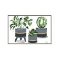 Picture of Plants in Grey vases _GroupedProduct_Rectangle_Landscape_Canvas_Framed_
