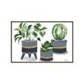 Picture of Plants in Grey vases _GroupedProduct_Rectangle_Landscape_Canvas_Framed_