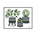 Picture of Plants in Grey vases _GroupedProduct_Rectangle_Landscape_Canvas_Framed_
