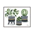 Picture of Plants in Grey vases _GroupedProduct_Rectangle_Landscape_Canvas_Framed_