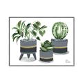Picture of Plants in Grey vases _GroupedProduct_Rectangle_Landscape_Canvas_Framed_