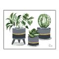Picture of Plants in Grey vases _GroupedProduct_Rectangle_Landscape_Canvas_Framed_