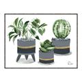 Picture of Plants in Grey vases _GroupedProduct_Rectangle_Landscape_Canvas_Framed_