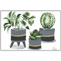 Picture of Plants in Grey vases _GroupedProduct_Rectangle_Landscape_Canvas_Framed_