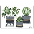Picture of Plants in Grey vases _GroupedProduct_Rectangle_Landscape_Canvas_Framed_