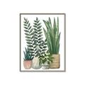 Picture of Plant Party I  _GroupedProduct_Rectangle_Portrait_Canvas_Framed_