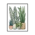Picture of Plant Party I  _GroupedProduct_Rectangle_Portrait_Canvas_Framed_