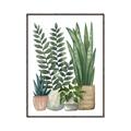 Picture of Plant Party I  _GroupedProduct_Rectangle_Portrait_Canvas_Framed_