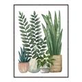 Picture of Plant Party I  _GroupedProduct_Rectangle_Portrait_Canvas_Framed_