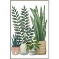 Picture of Plant Party I  _GroupedProduct_Rectangle_Portrait_Canvas_Framed_