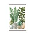 Picture of Plant Party II  _GroupedProduct_Rectangle_Portrait_Canvas_Framed_