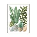 Picture of Plant Party II  _GroupedProduct_Rectangle_Portrait_Canvas_Framed_