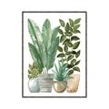 Picture of Plant Party II  _GroupedProduct_Rectangle_Portrait_Canvas_Framed_