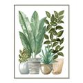 Picture of Plant Party II  _GroupedProduct_Rectangle_Portrait_Canvas_Framed_